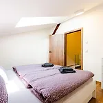 - Dolni Morava Apartment *